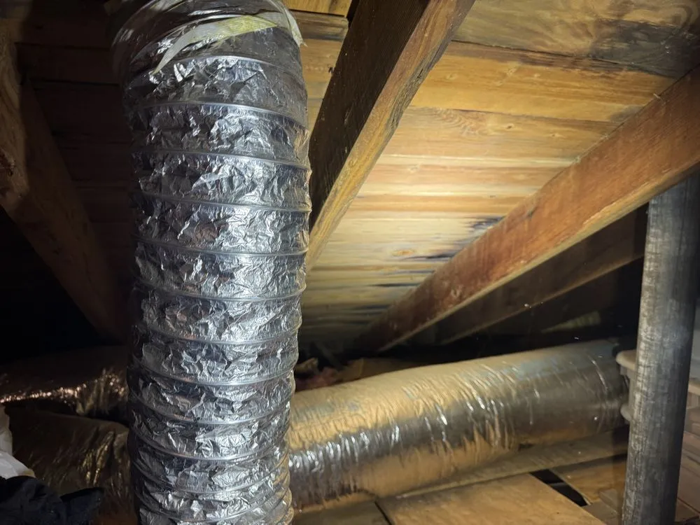 Slide of Buzzworthy Roofing & Siding