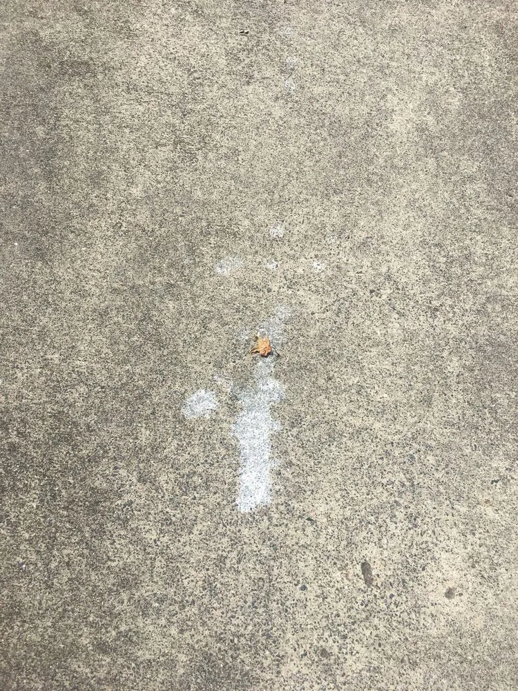 Slide of BWH Services