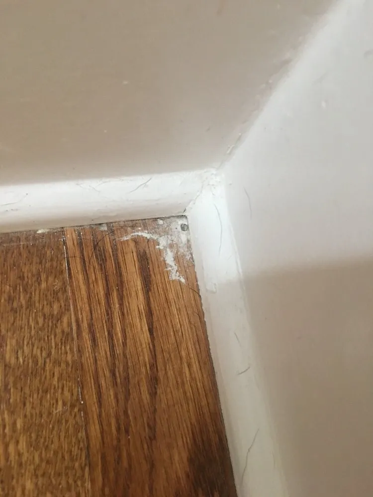 Slide of BWH Services