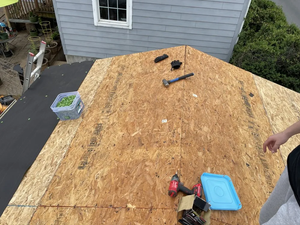 Slide of By The Horns