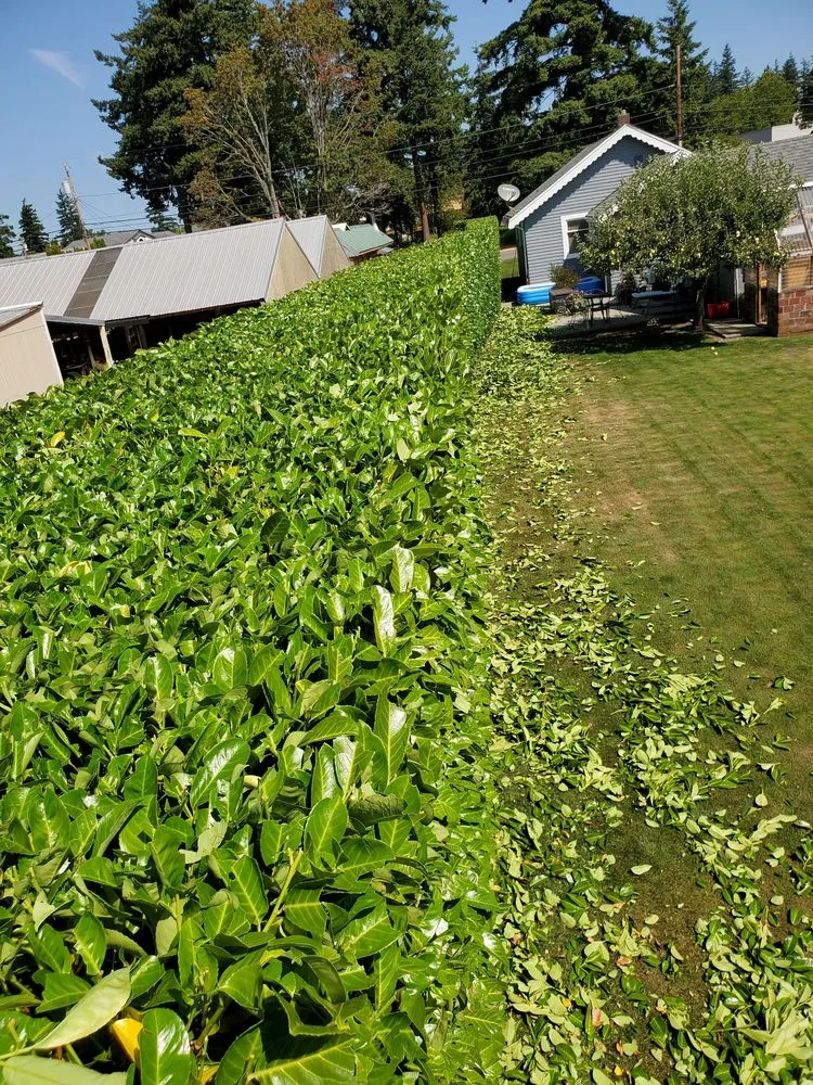 Slide of By trust Natural Landscaping