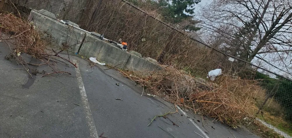 Slide of By trust Natural Landscaping