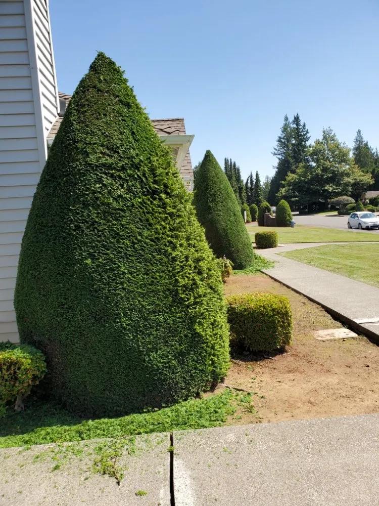 Slide of By trust Natural Landscaping