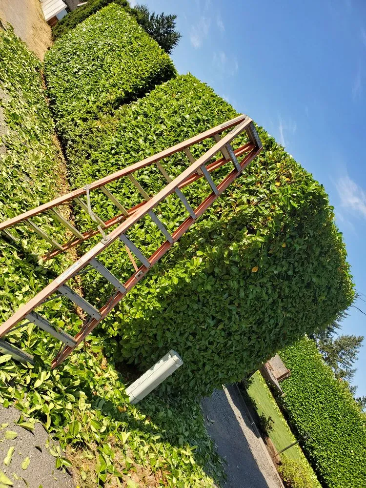 Slide of By trust Natural Landscaping