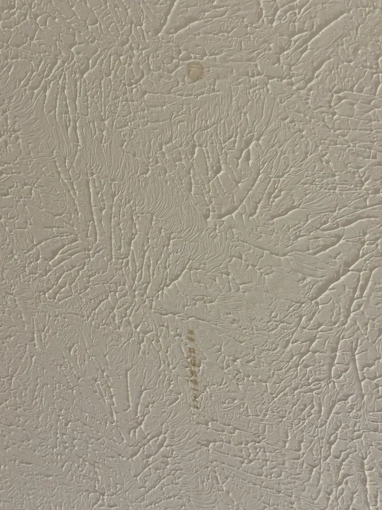 Slide of Byrd On The Roof