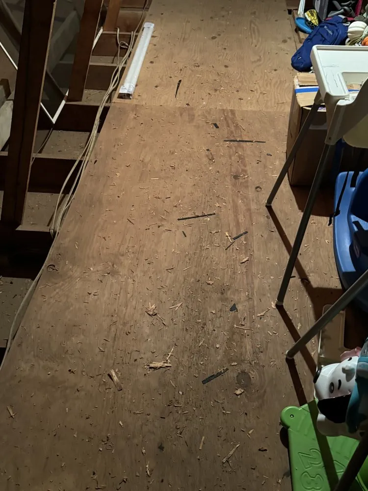 Slide of Byrd On The Roof