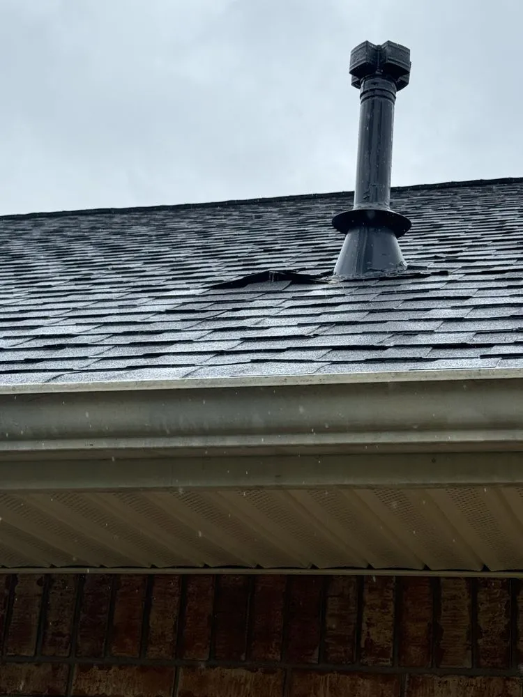 Slide of Byrd On The Roof