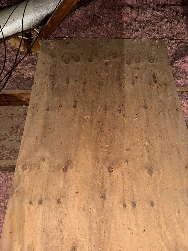 Slide of Byrd On The Roof