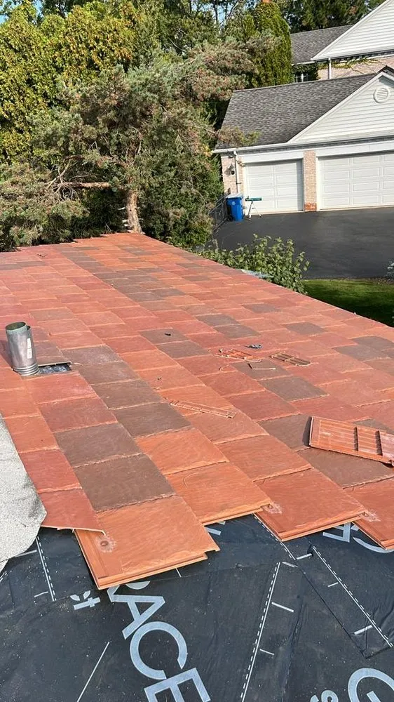 Slide of BZ Bee Construction