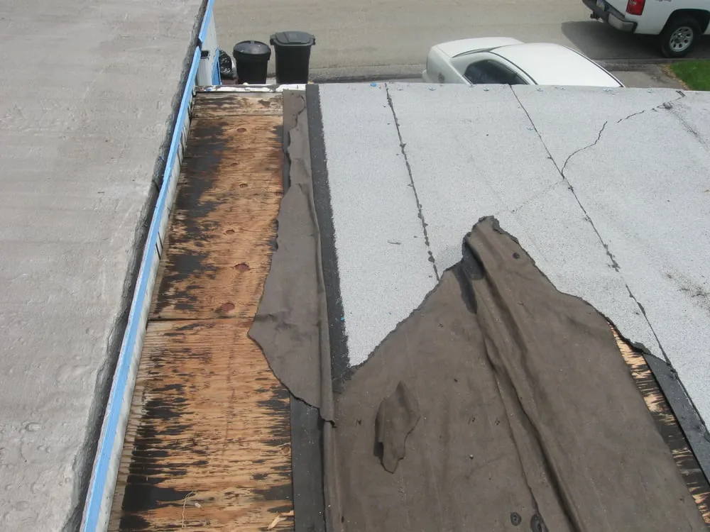 Slide of BZ Construction