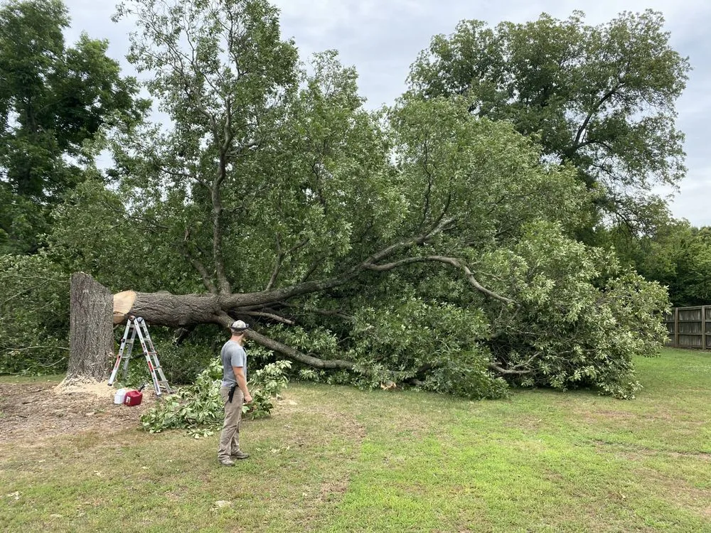 Slide of C & D Roofing and Construction