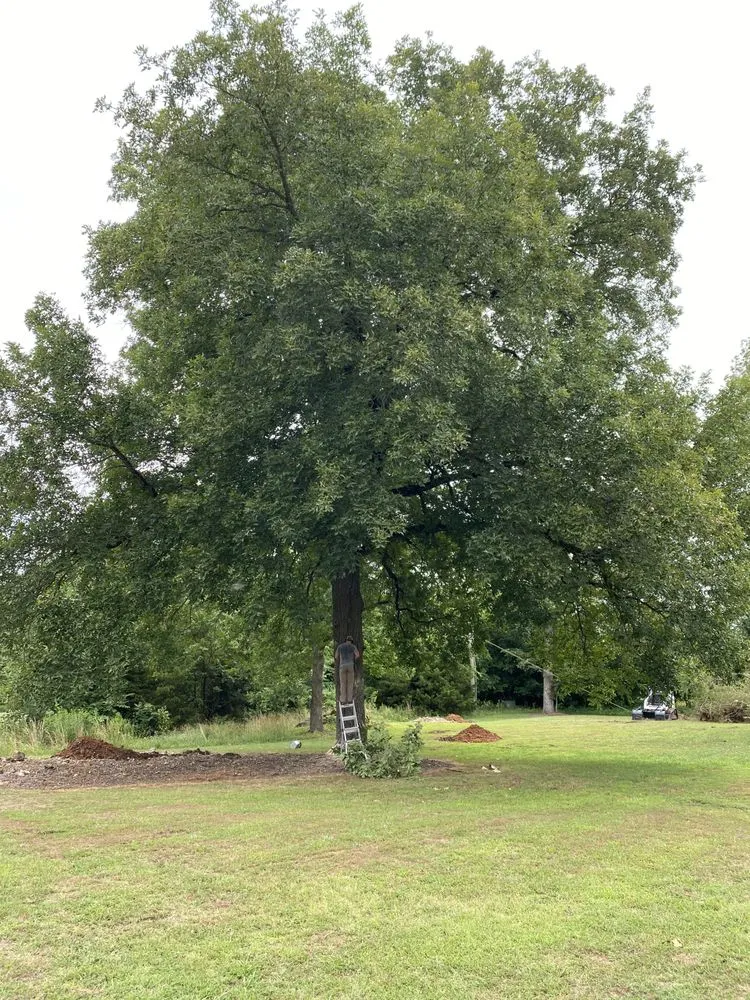 Slide of C & D Roofing and Construction