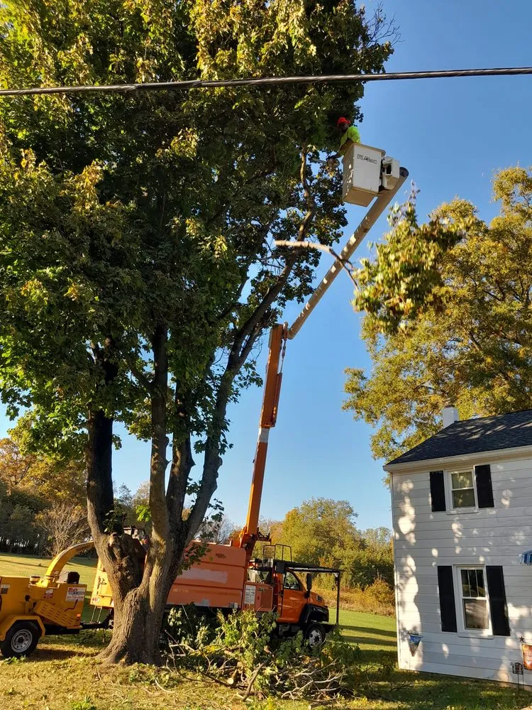 Slide of C & J Roofing