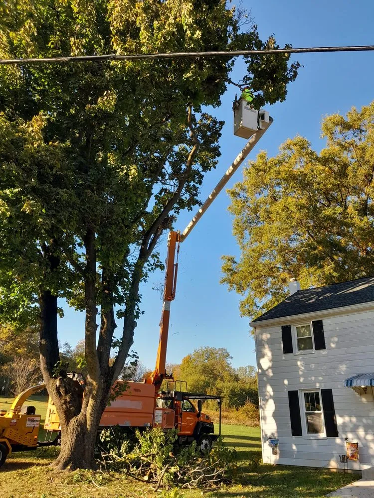 Slide of C & J Roofing