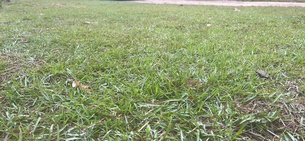 Local roof installation in Chunchula, AL by C & R lawn care