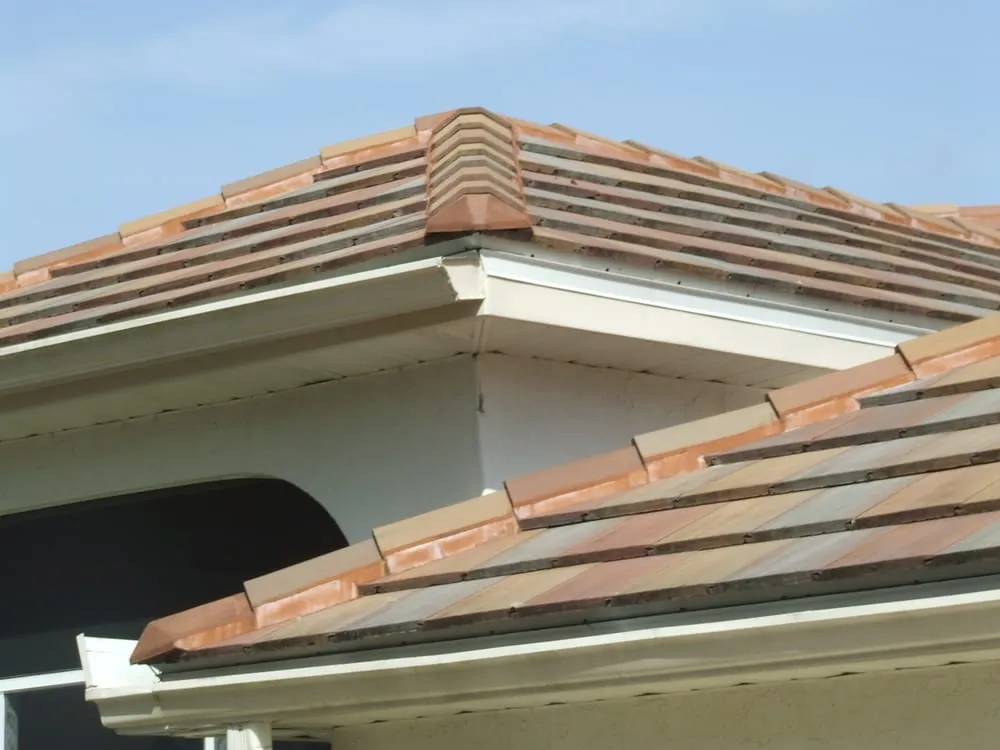 Slide of C F McFadden Jr