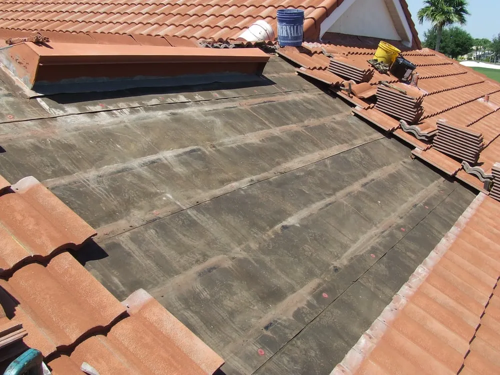 Slide of C F McFadden Jr