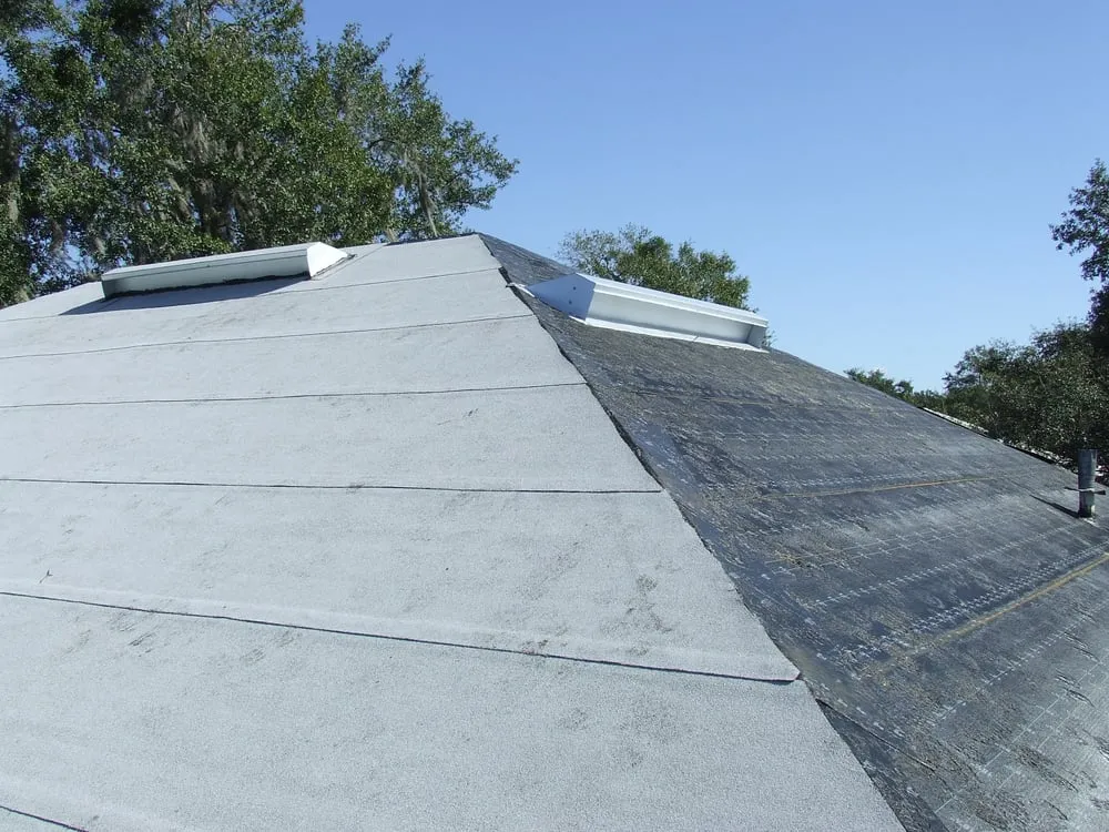 Slide of C F McFadden Jr