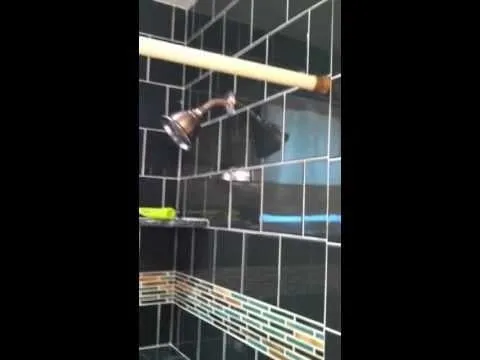 Slide of C L Fox and Son