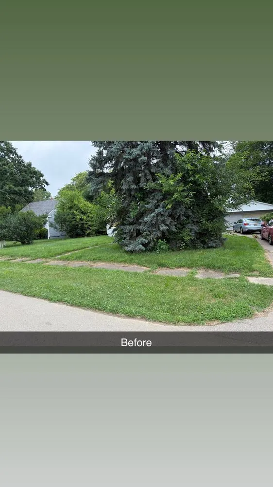 Slide of C M Labor Services