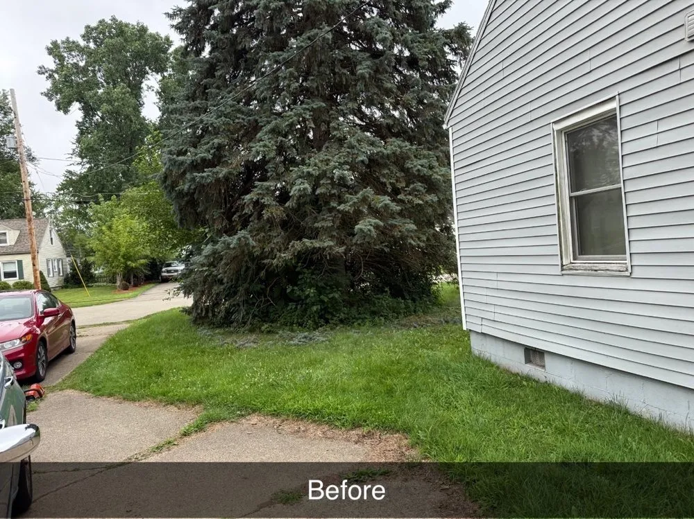 Slide of C M Labor Services