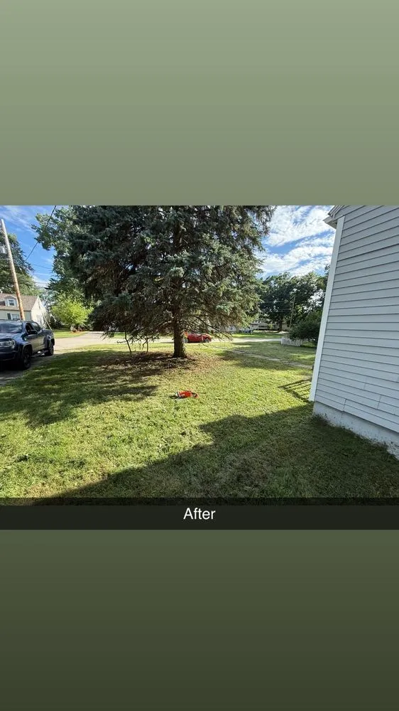 Slide of C M Labor Services