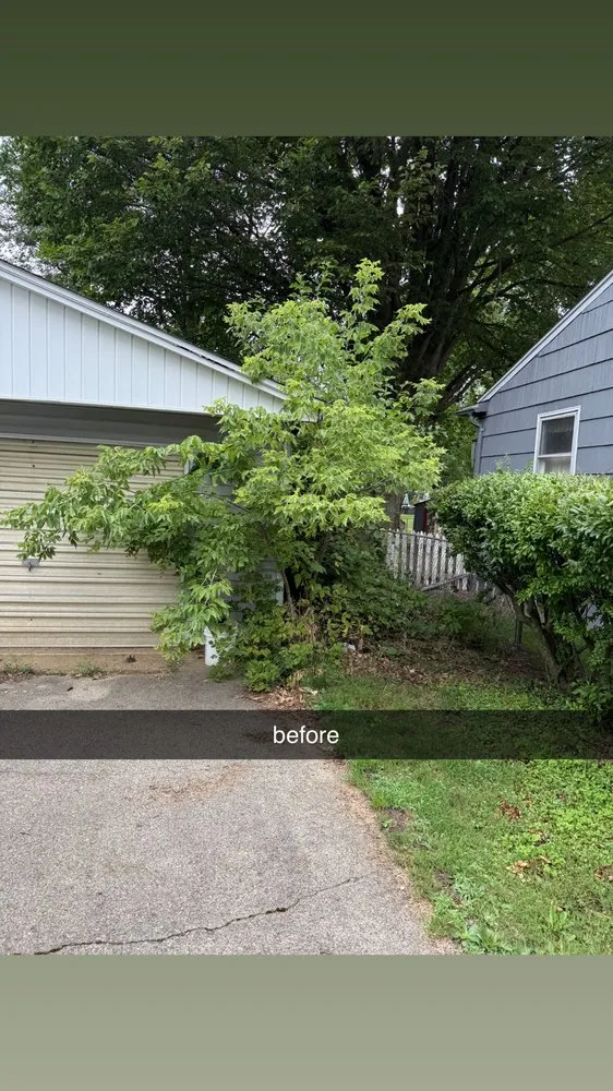 Slide of C M Labor Services