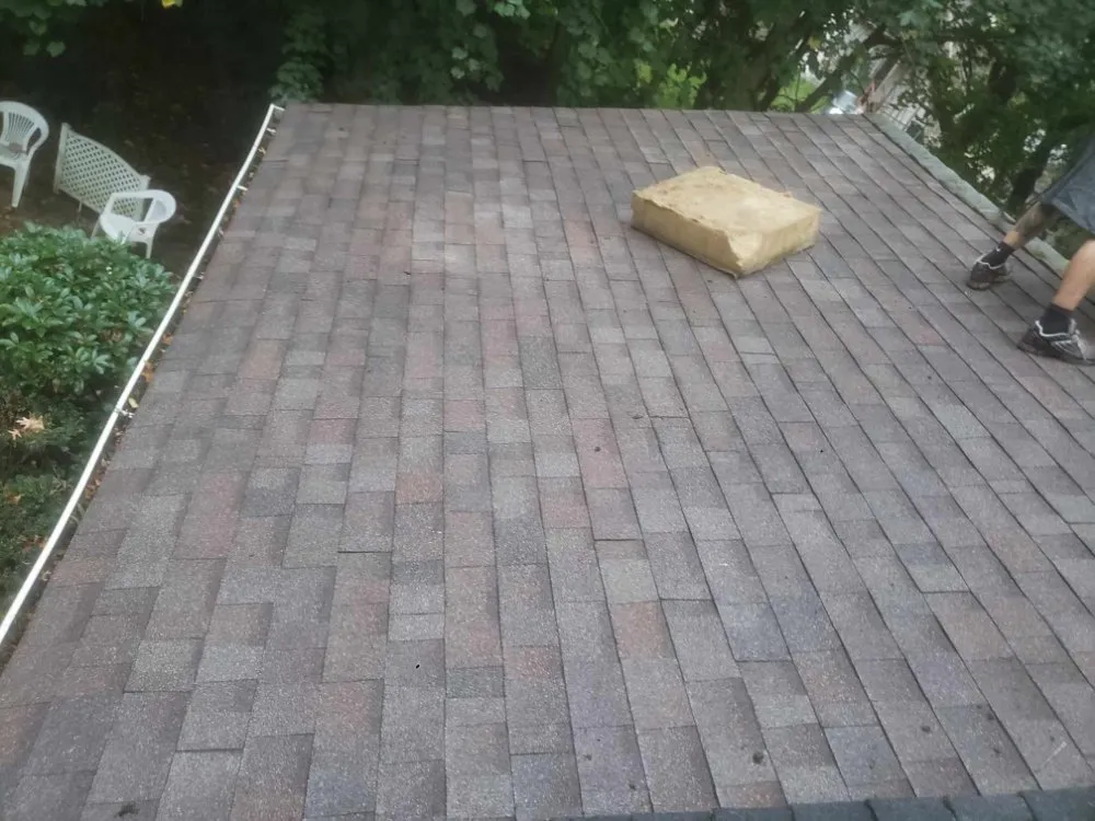 Slide of C N M True Colors