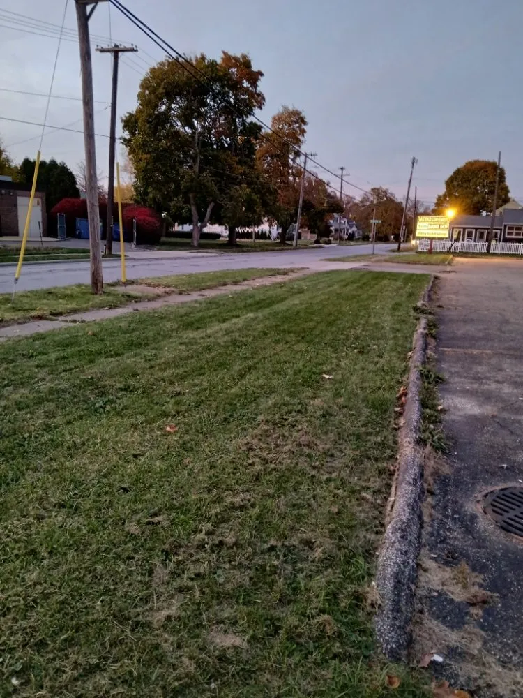 Slide of C N M True Colors