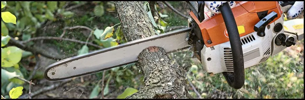 Slide of C P Roofing & Tree Service