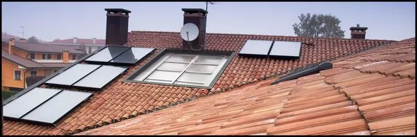 C P Roofing & Tree Service