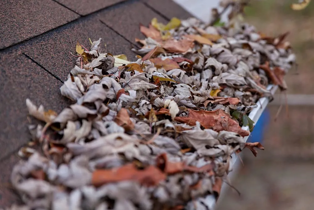 Slide of C2 Operations