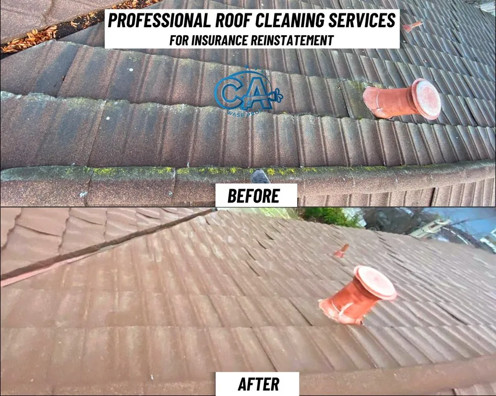 Slide of CA Wash Pros