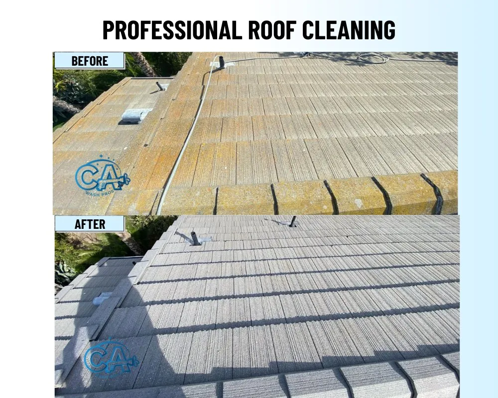 Slide of CA Wash Pros