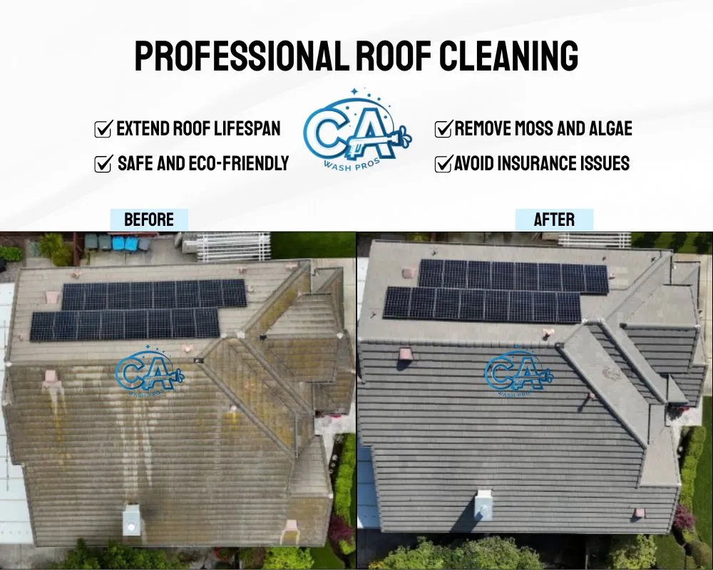 Slide of CA Wash Pros