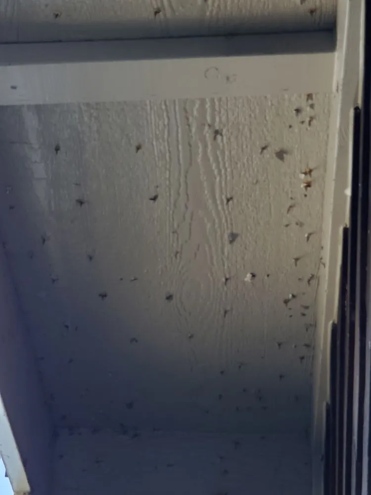 Slide of Cabrera Construction