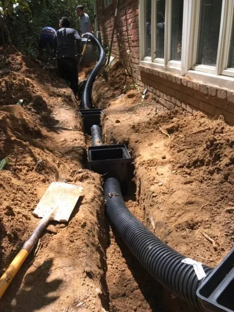 Slide of Cabrera Molina Enterprise