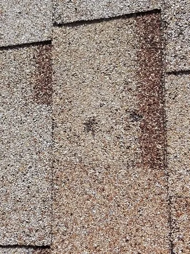 Slide of Cairn Roofing Group