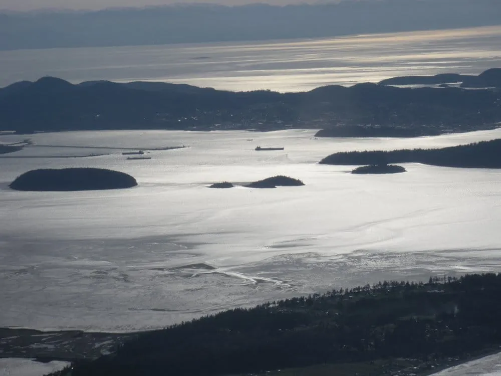 Slide of Caizan Roofing