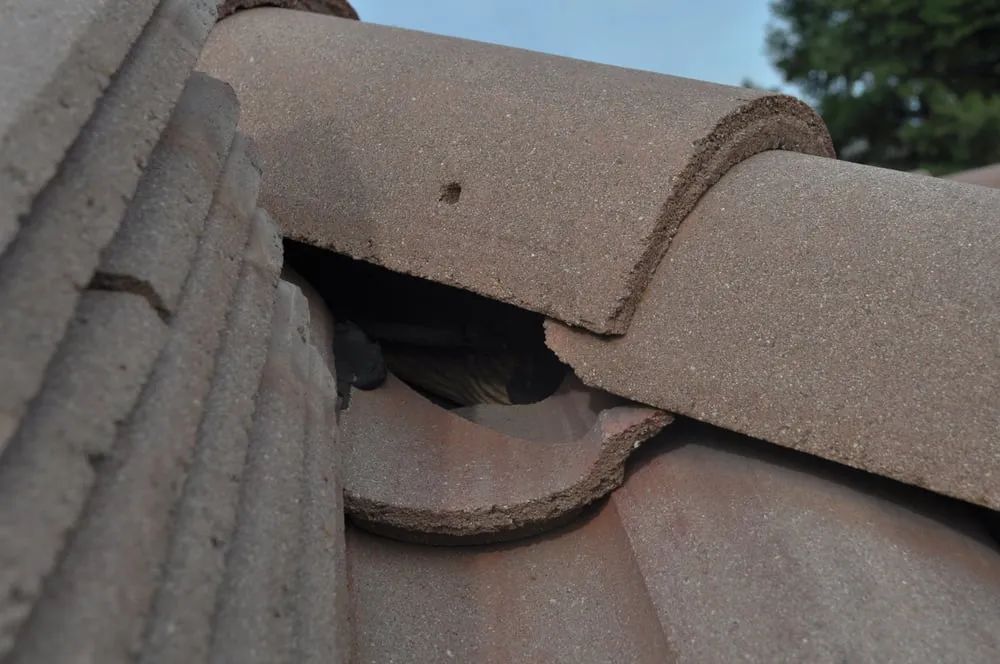 Slide of CAL-ROX Roofing Inc