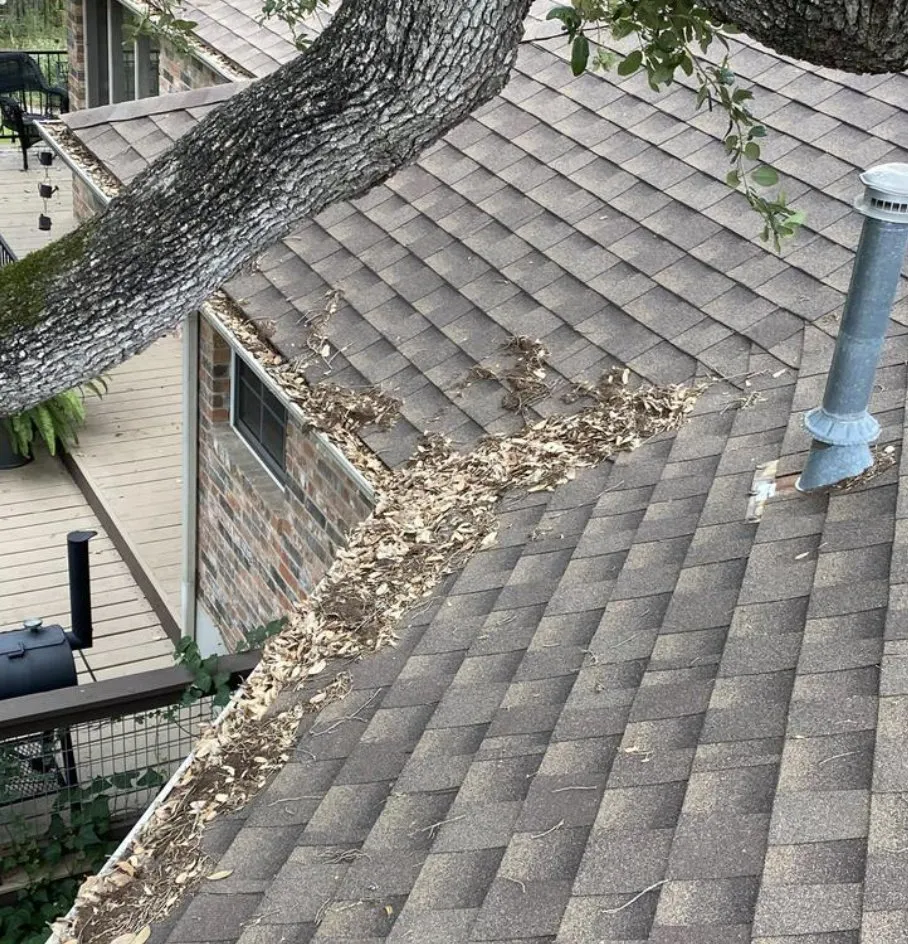 Slide of Caledonia Cleaning Services