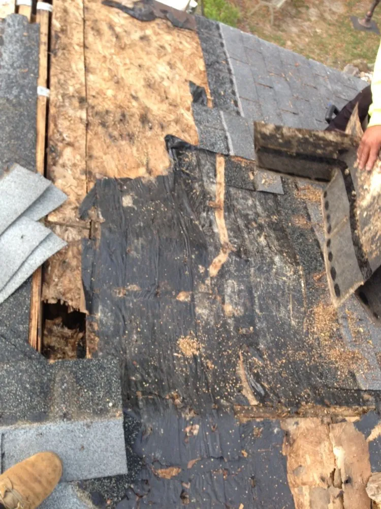 Slide of Calentanoz Contracting