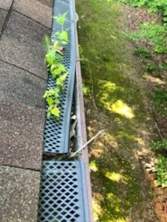 Slide of Calentanoz Contracting