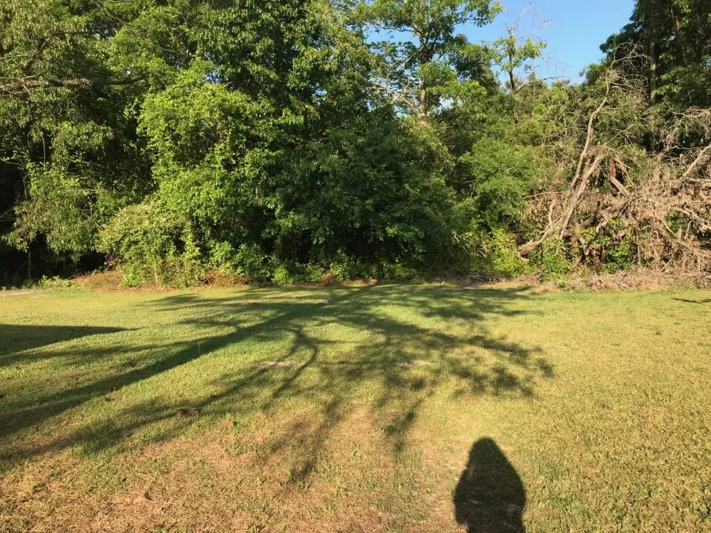 Slide of Calentanoz Contracting