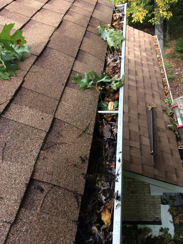 Slide of Calentanoz Contracting