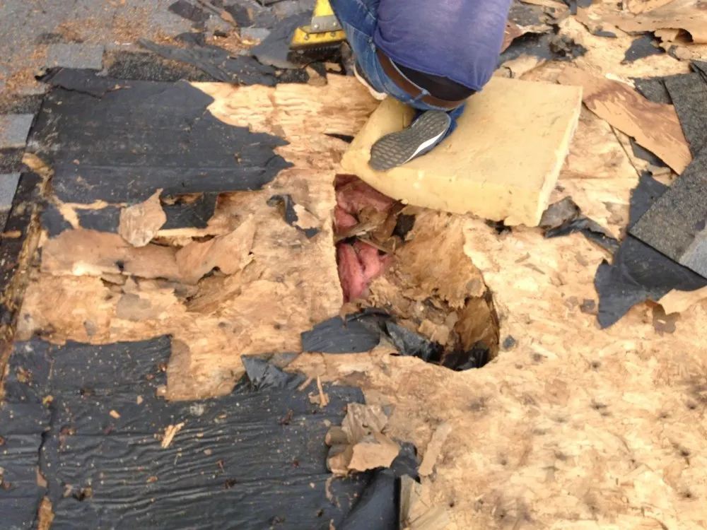 Slide of Calentanoz Contracting