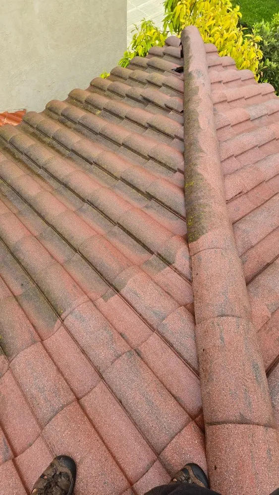 Slide of Cali Roof Cleaning