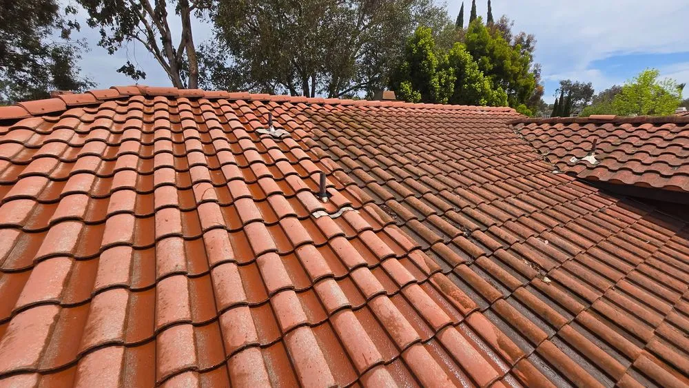 Slide of Cali Roof Cleaning