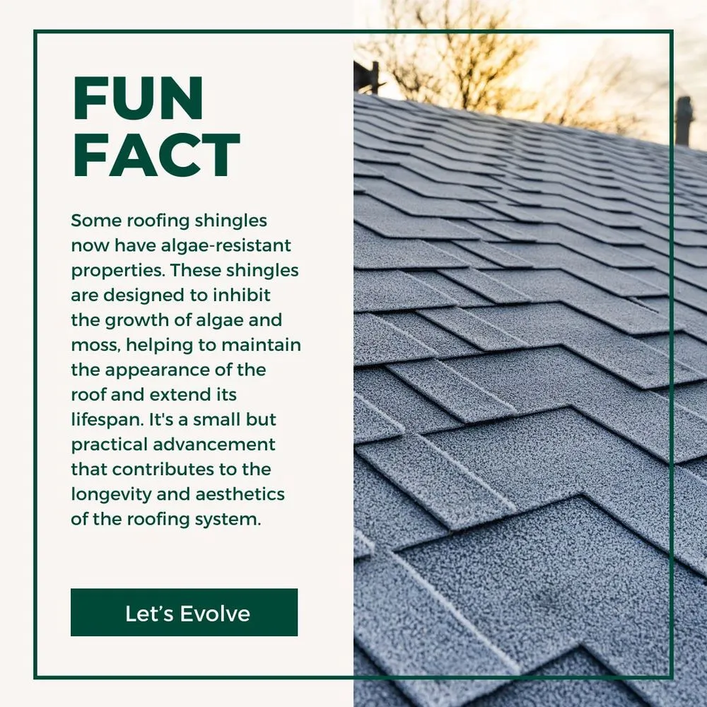 Slide of Caliber Construction