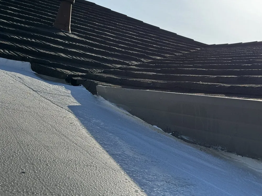 Slide of California Flat Roofs